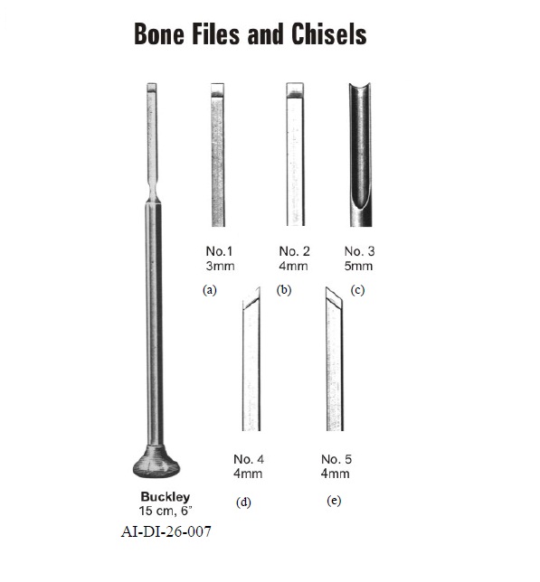 Buckley bone files and chisels